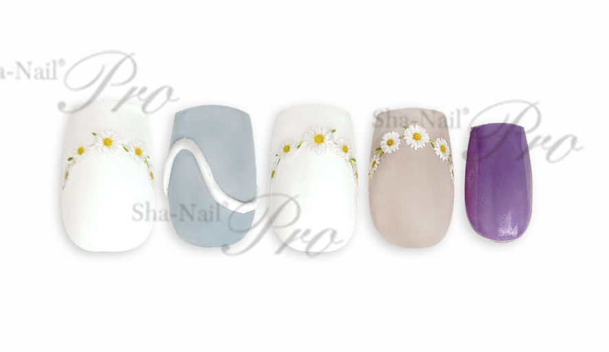 取扱終了 Sha-Nail Plus FR-DSY French Daisy / フレンチ デイジー