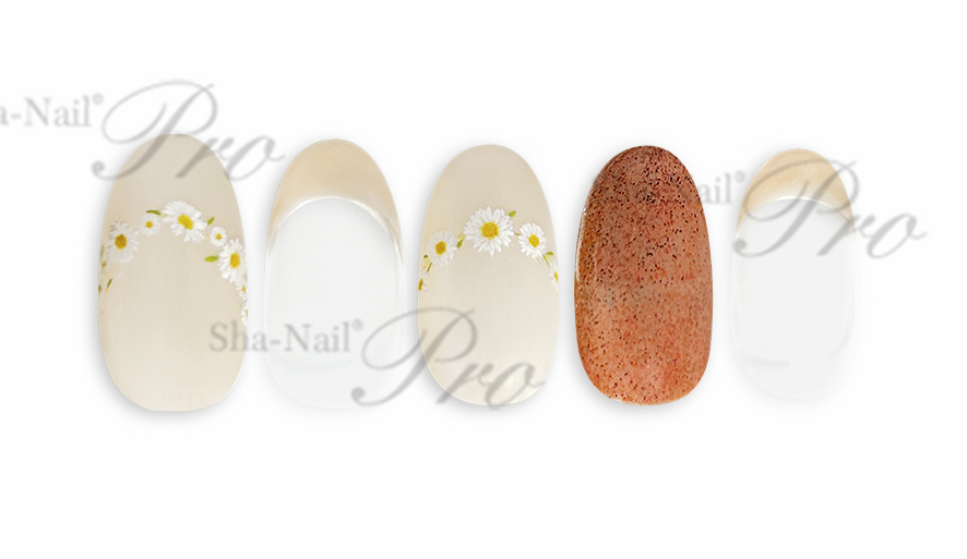 取扱終了 Sha-Nail Plus FR-DSY French Daisy / フレンチ デイジー