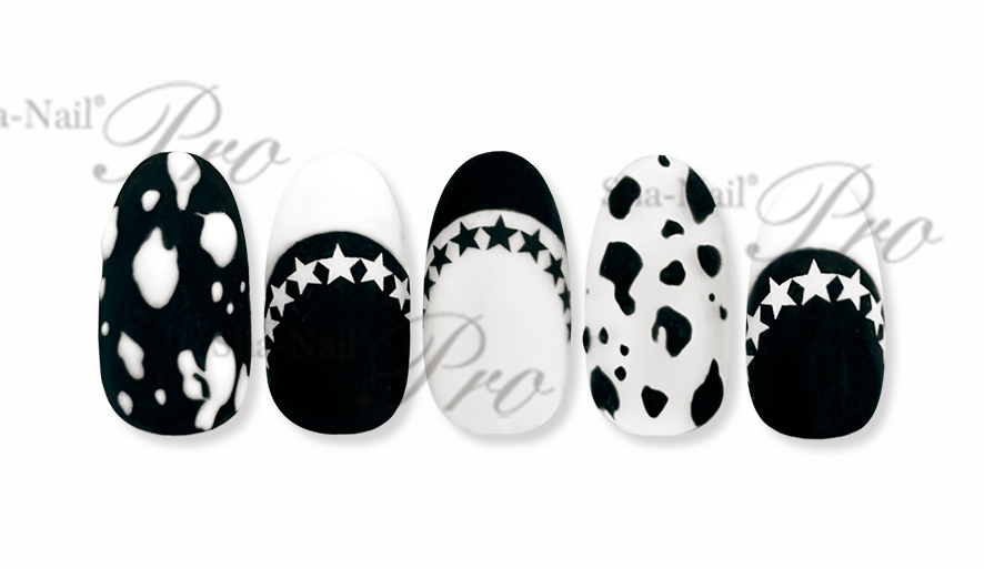 取扱終了 Sha-Nail Plus FR-ST02 French Star -White- / フレンチ スター -ホワイト-