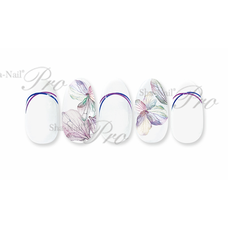 取扱終了 Sha-Nail French FR-CLP Color Line Purple/フレンチ カラーライン パープル