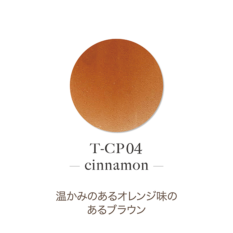 TOY’s × INITY アクリルカラーパウダー アンメデューコレクション シナモン