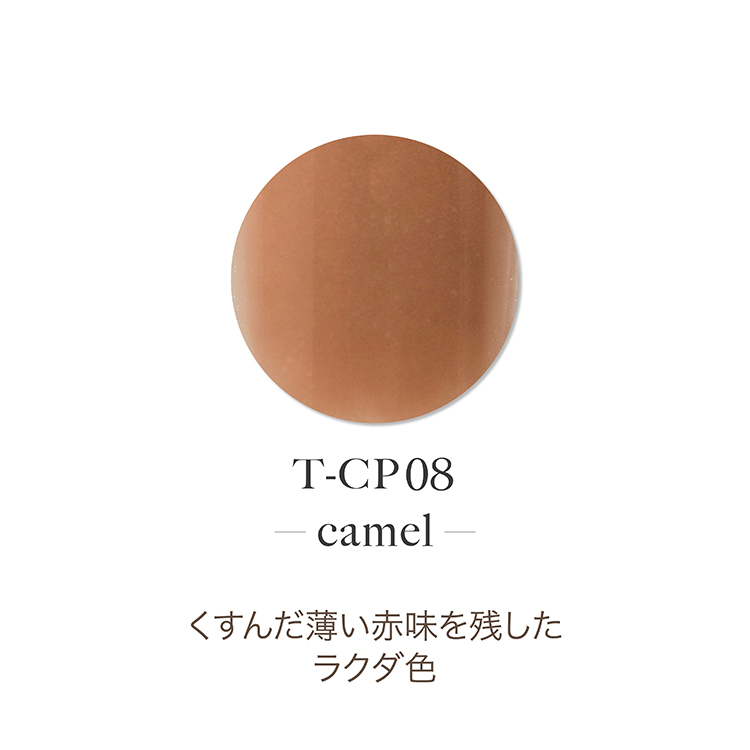 TOY's × INITY アクリルカラーパウダー アンメデューコレクション