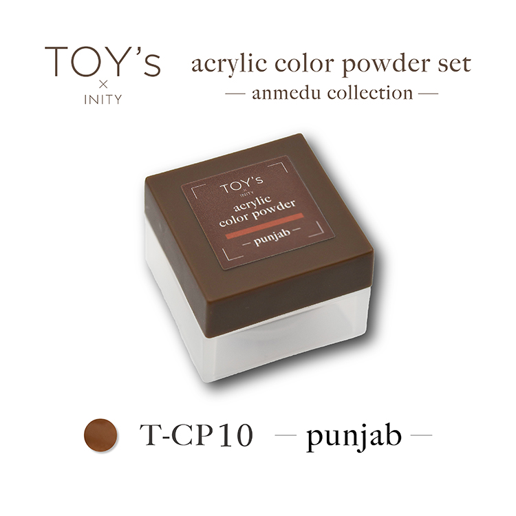 TOY's × INITY アクリルカラーパウダー アンメデューコレクション