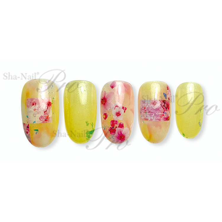取扱終了 Sha-Nail Pro AYAKO-016 S/S エスエス