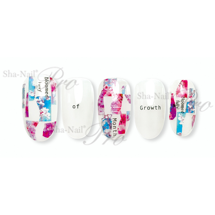 取扱終了 Sha-Nail Pro AYAKO-016 S/S エスエス