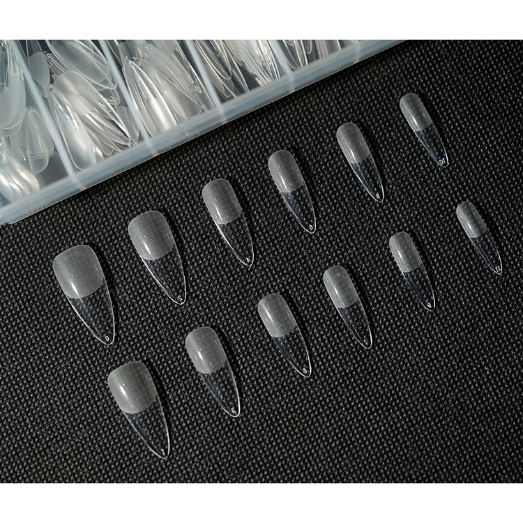 Ann Professional AnnProfessional チップイクステンション ポイントロング型 240pcs