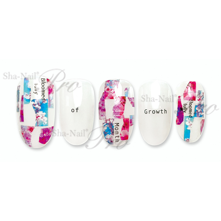 取扱終了 Sha-Nail Pro AYAKO-017 S/S Salon Selection エスエス サロンセレクション