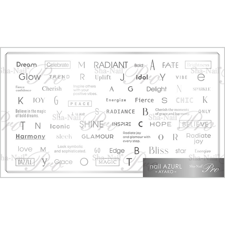 Sha-Nail Plus AYAKO-PFB02 Font Box -Silver- / プラス フォントボックス シルバー