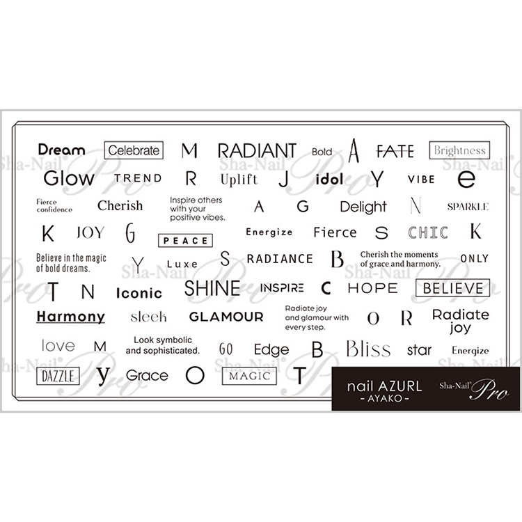 Sha-Nail Plus AYAKO-PFB03 Font Box -Black- / プラス フォントボックス ブラック