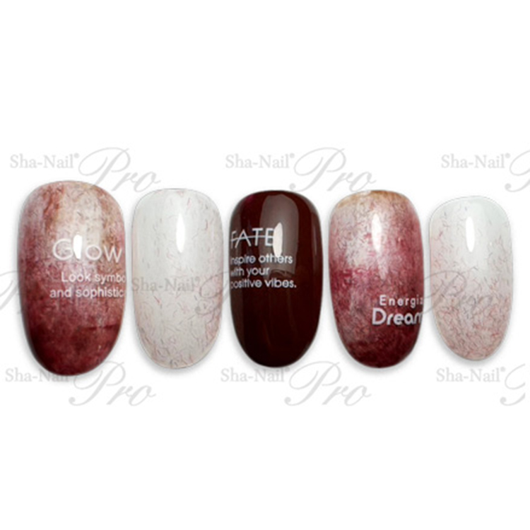 Sha-Nail Plus AYAKO-PFB04 Font Box -White- / プラス フォントボックス ホワイト