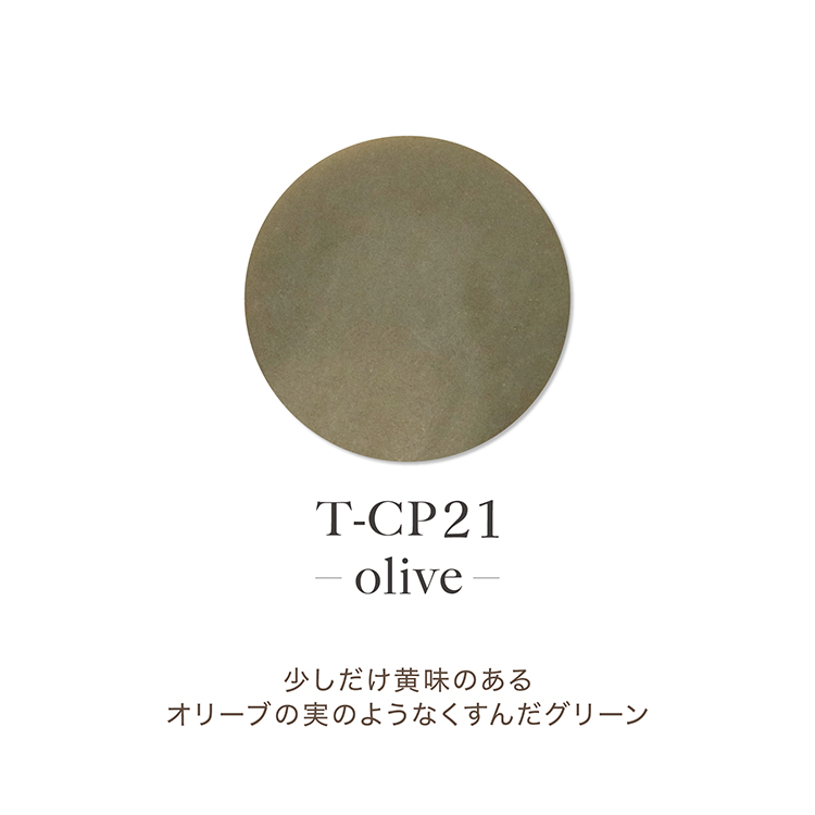 TOY’s × INITY アクリルカラーパウダー オリーミーコレクション CP21 オリーブ