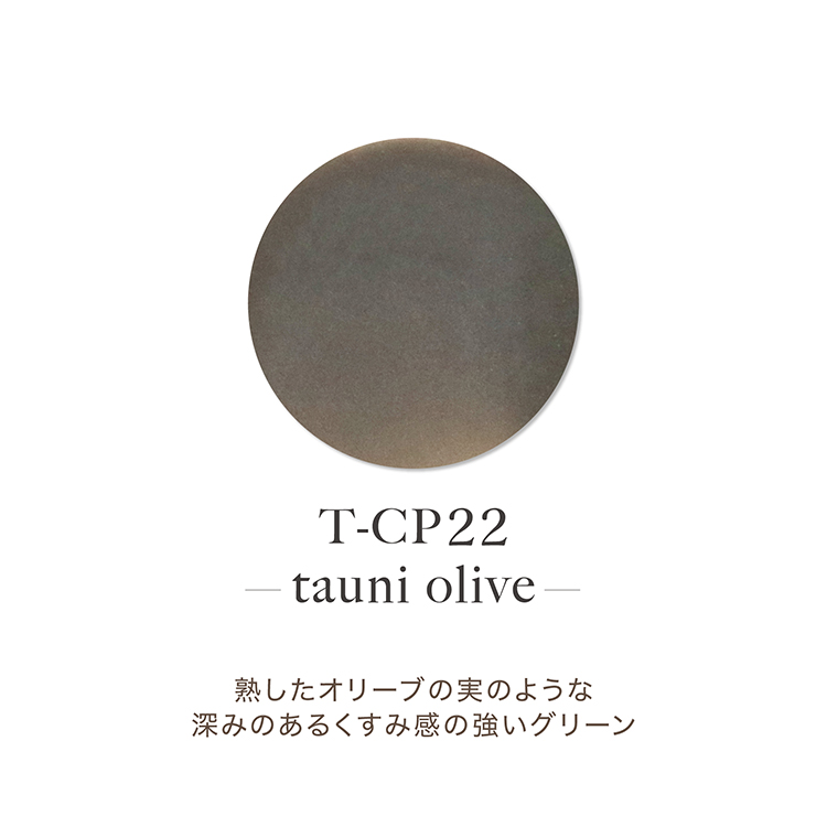 TOY’s × INITY アクリルカラーパウダー オリーミーコレクション CP22 タウニーオリーブ