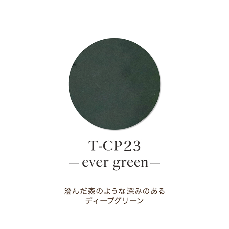 TOY’s × INITY アクリルカラーパウダー オリーミーコレクション CP23 エバーグリーン