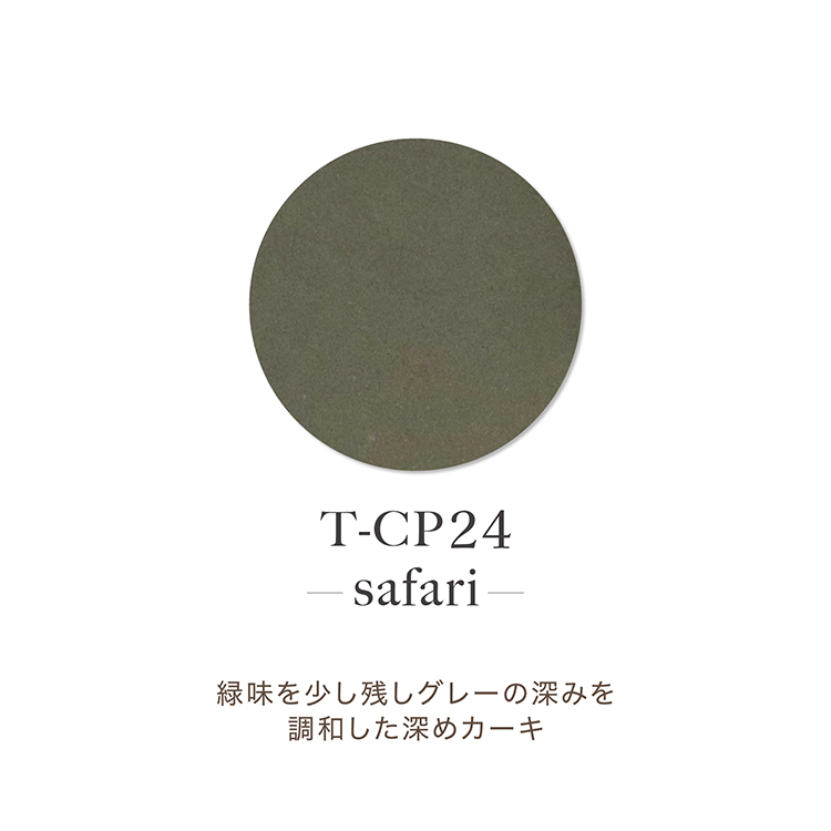 TOY’s × INITY アクリルカラーパウダー オリーミーコレクション CP24 サファリ