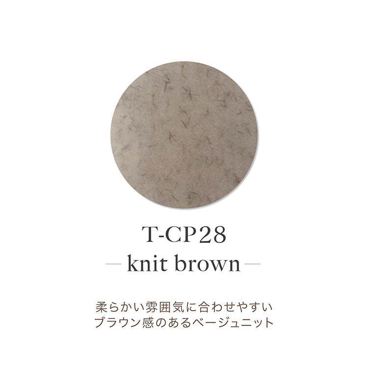 TOY’s × INITY アクリルカラーパウダー オリーミーコレクション CP28 ニットブラウン