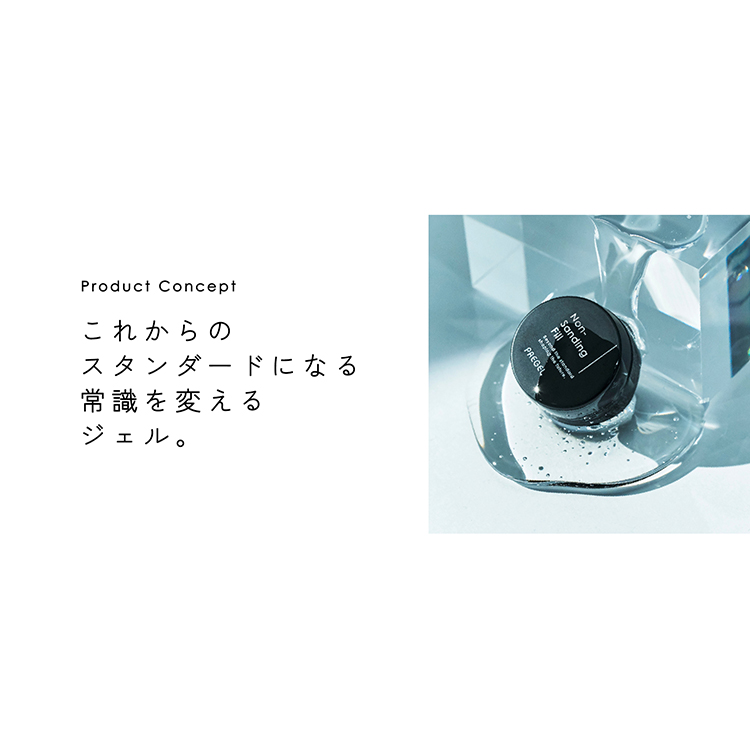 プリジェル ノンサンディングフィル 4g 工程表付き