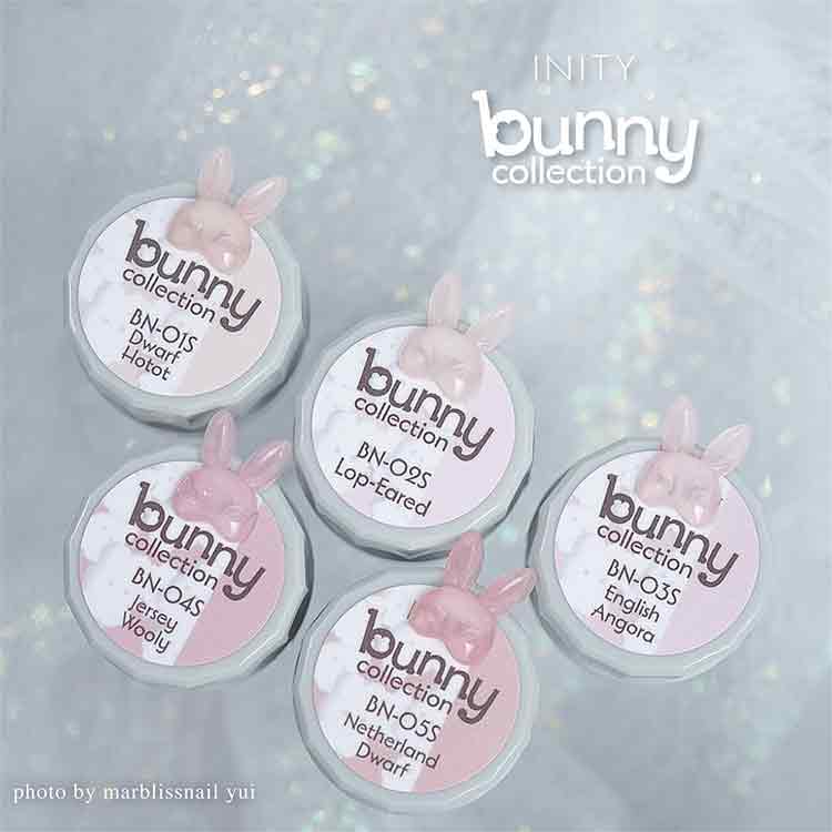 INITY ハイエンドカラー バニーコレクション 5色セット