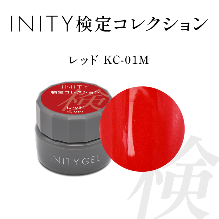 INITY 検定コレクション 検定レッドセット