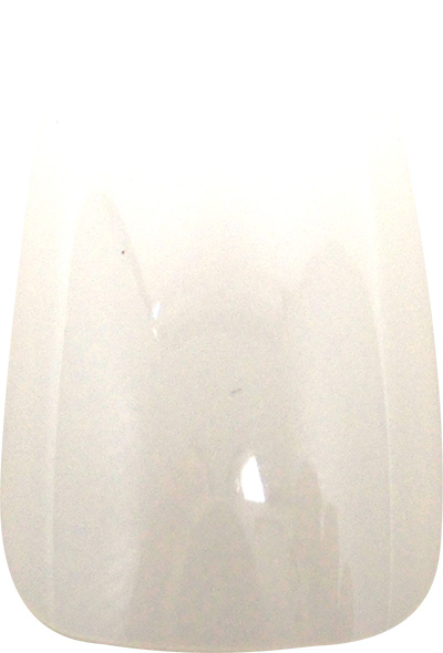 BEAUTY NAILER プレミア ナチュラルチップス バイサイズ 50P #1 ニュースクエア