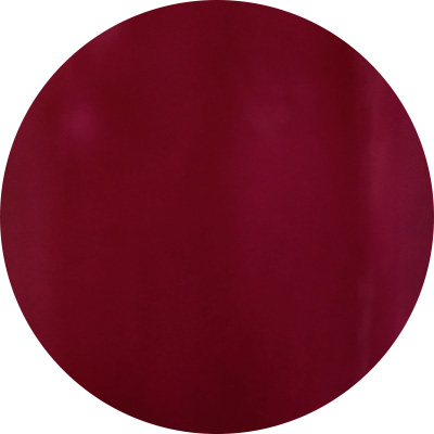 Gelly Fit カラージェルポリッシュ 10ml V04 | Nail Labo Online Shop