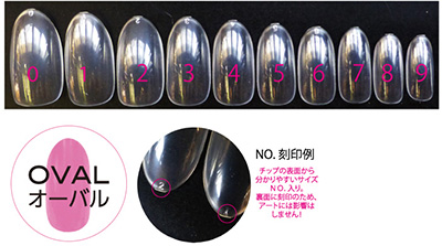 eriko nail プロフェッショナル クリアチップ 120P オーバル EROV-1