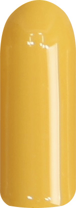 Gelly Fit カラージェルポリッシュ 10ml CN21 | Nail Labo Online Shop