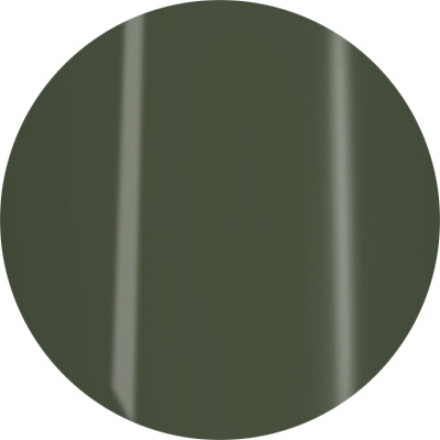 Gelly Fit カラージェルポリッシュ 10ml FW194