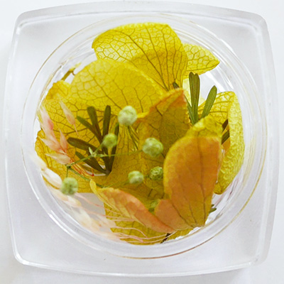 取扱終了 ネイルパフェ フラワーパフェ イエロー