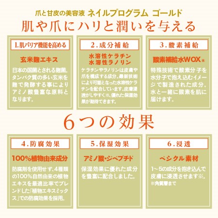 NFS ネイルプログラムゴールド 14ml