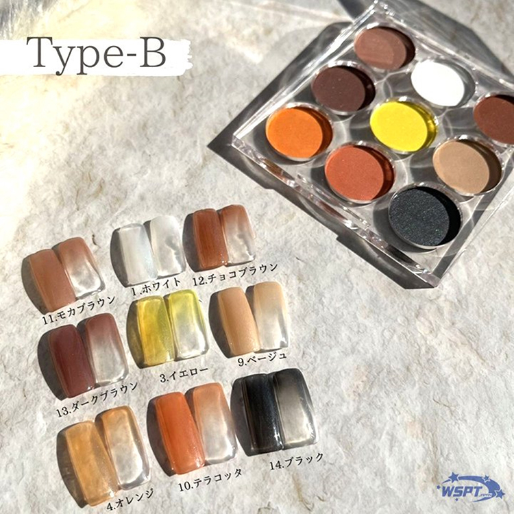StarBits byWSPTJAPAN ドラマティック グラデーションパレット B