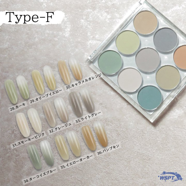 StarBits byWSPTJAPAN ドラマティック グラデーションパレット F
