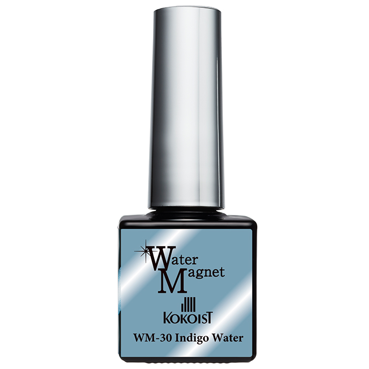 KOKOIST ウォーターマグネット 10g WM-30 Indigo Water