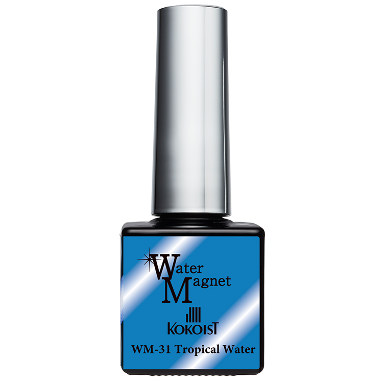 KOKOIST ウォーターマグネット 10g WM-31 Tropical Water