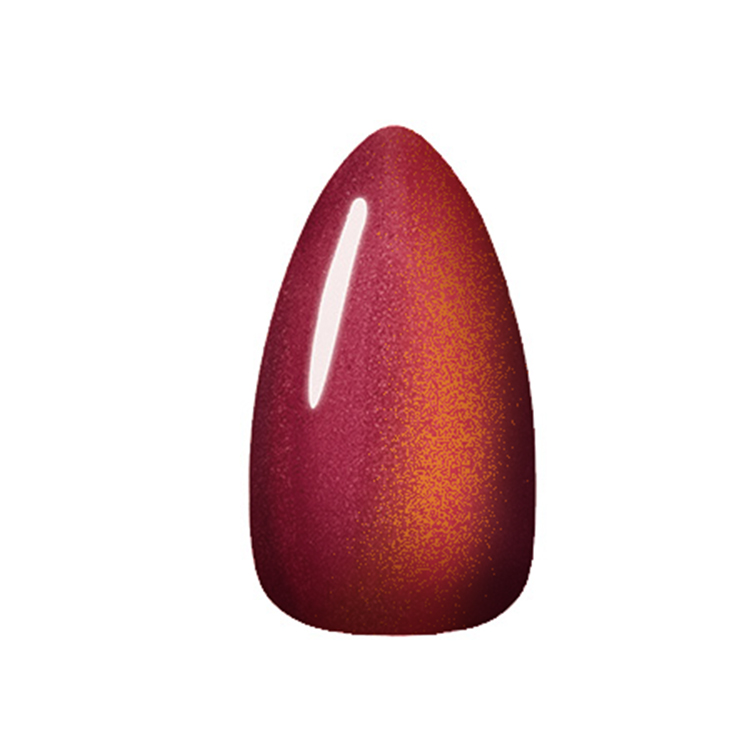 KOKOIST Velvet Magnet 10g VM-38 Red Wine