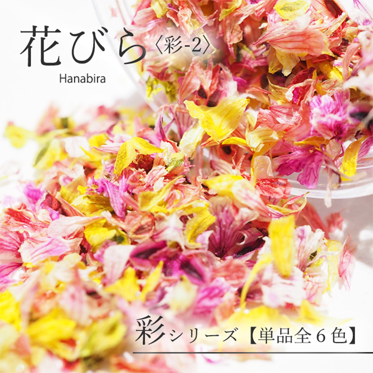 SMint Hanabira 彩series 彩-2