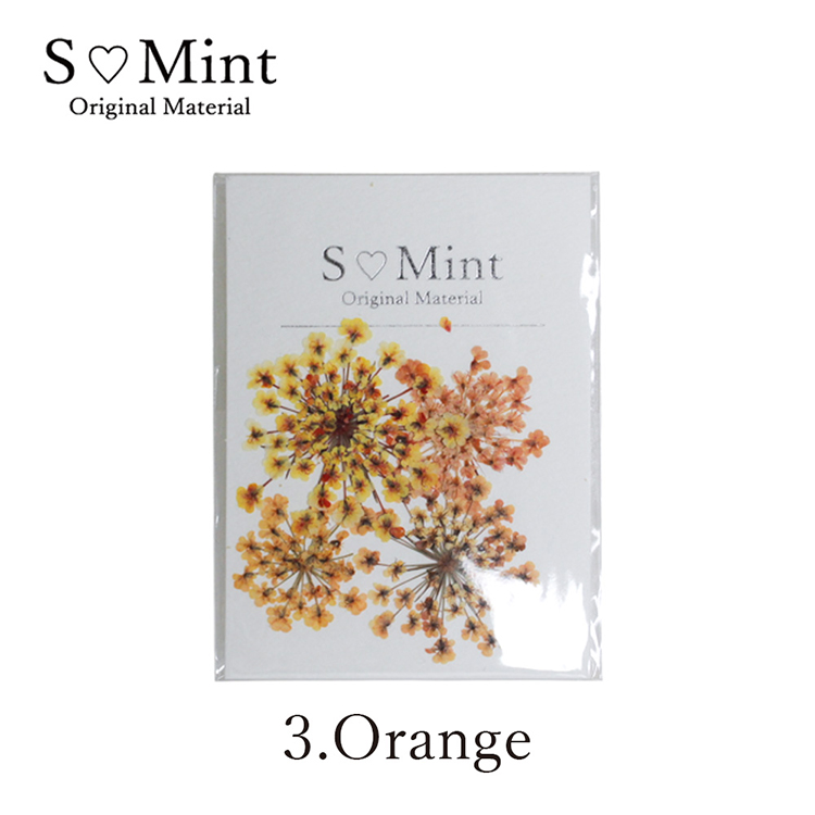 SMint Lace Flower Try Orange