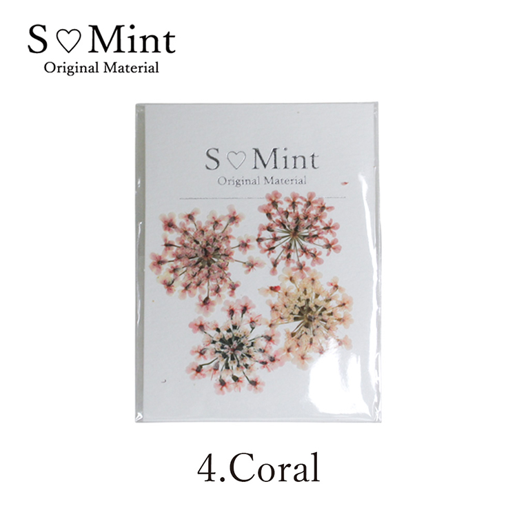SMint Lace Flower Try Coral