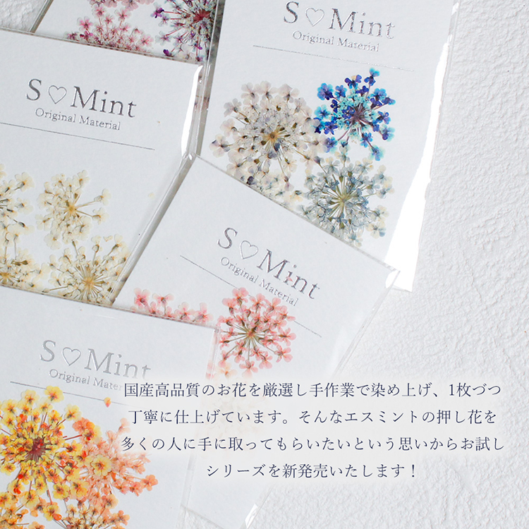 SMint Lace Flower Try Purple