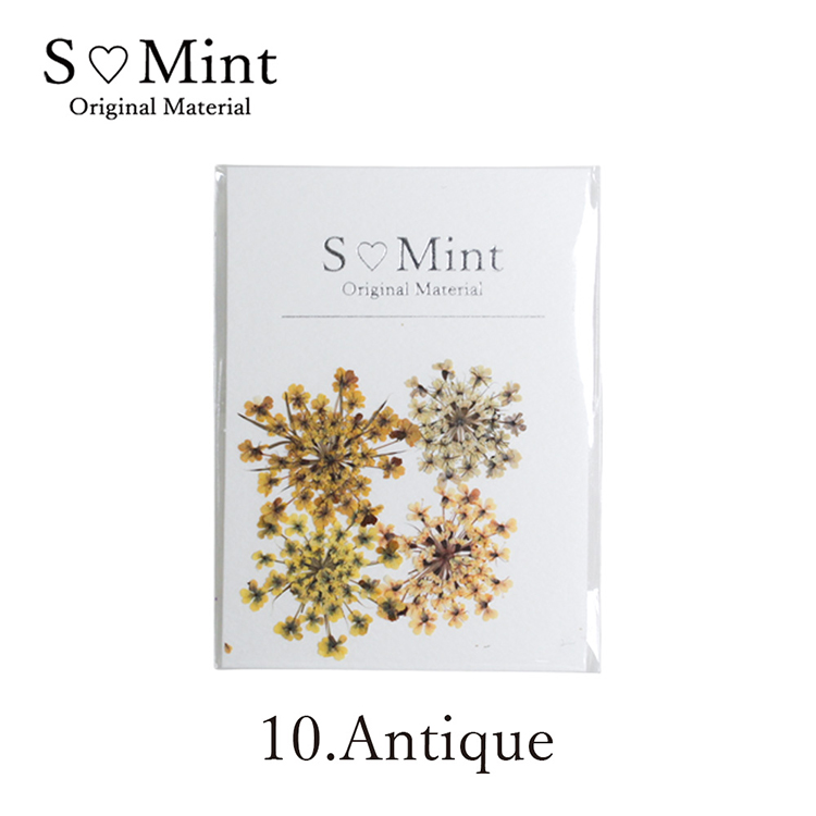 SMint Lace Flower Try Antique