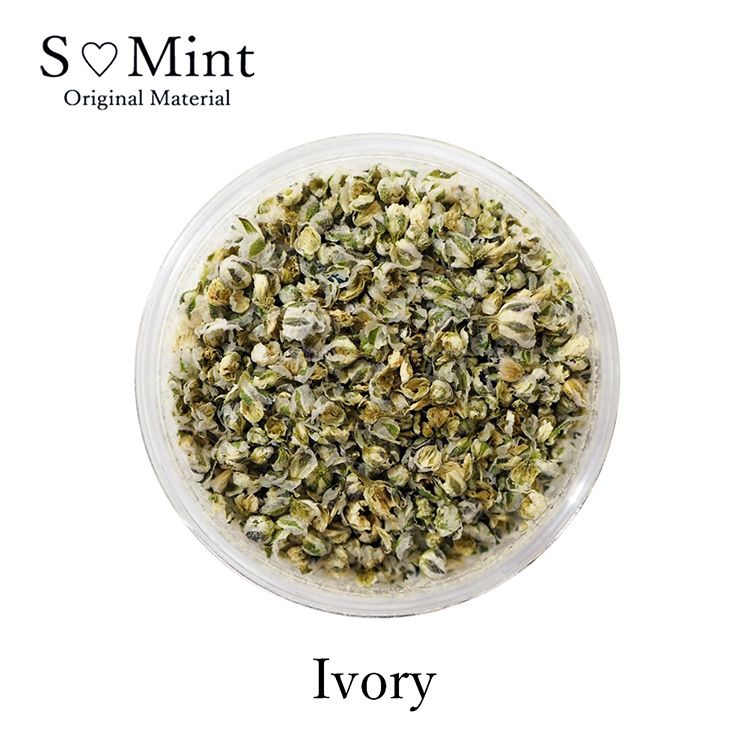 SMint フラワーモチーフパウダー Ivoly