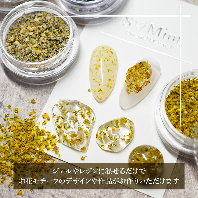 SMint フラワーモチーフパウダー Coral