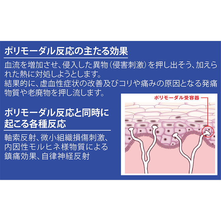 イオンギア美顔