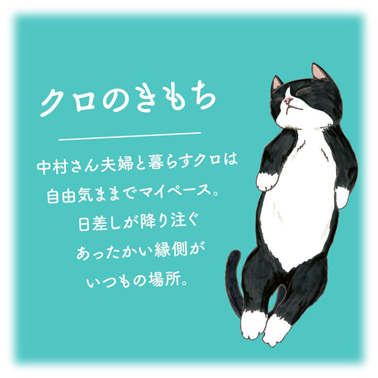 ネコのきもち ニャンわり蒸気の ぐぅたらアイマスク クロ 陽だまりコットンの香り　5枚