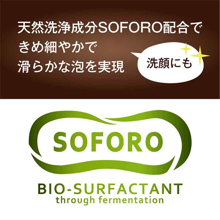 SARAYA ウォシュボン プライムフォーム フレッシュシトラス 本体