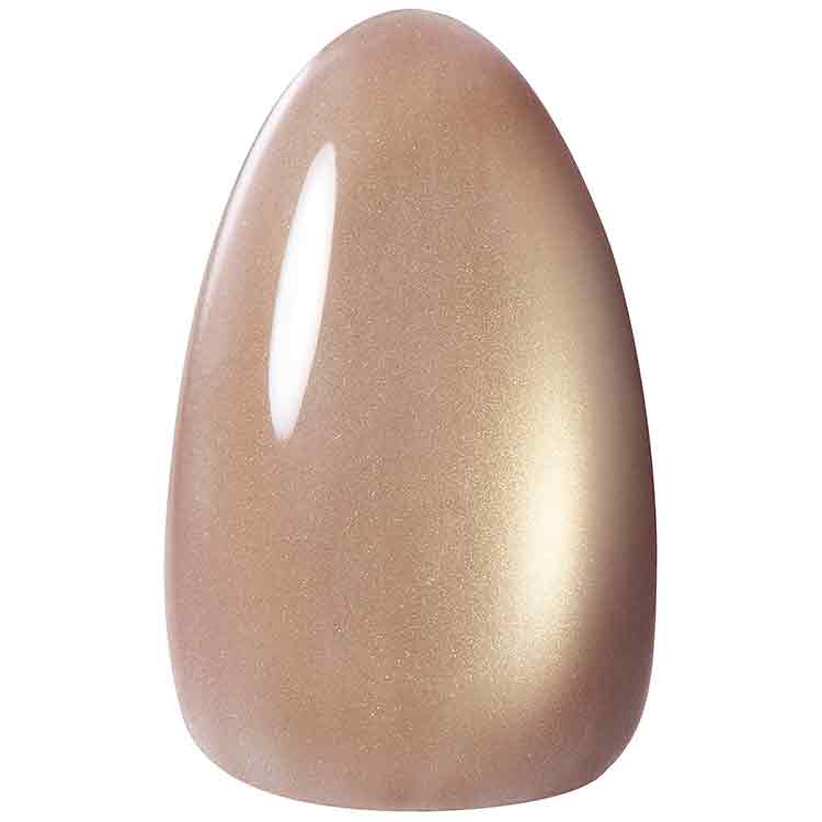 KOKOIST Terra Magnet TM-51 Mushroom Stone