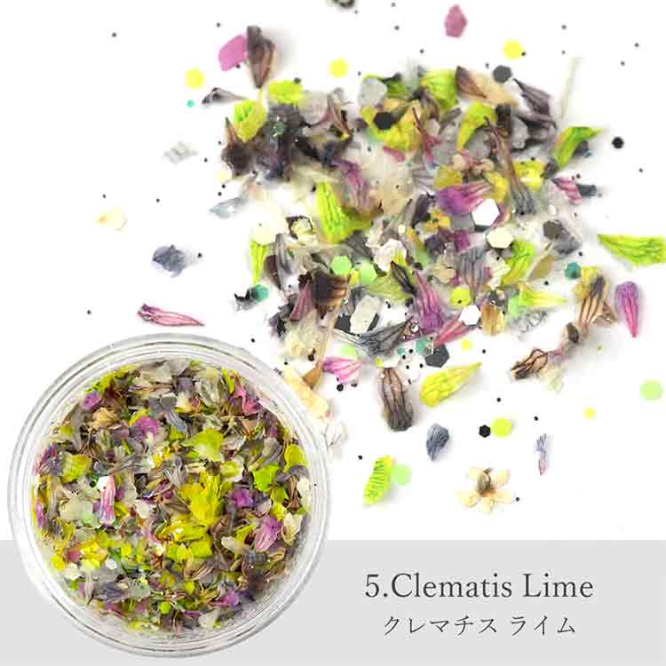 限定 SMint Mix Flower Flat Cozy Stitch series Set