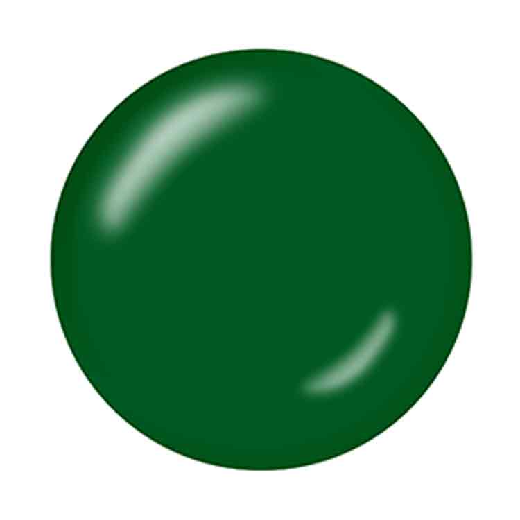 KOKOIST ボトルンゴーカラージェル 10mL BC-40 Forest Green
