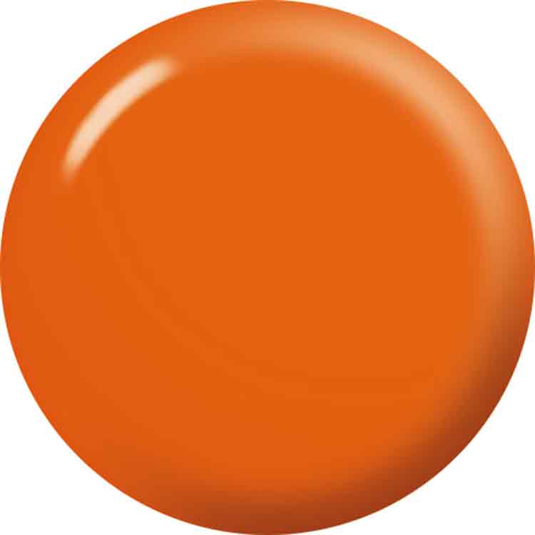 LUCU GEL カラー 3.5g C020 クリアアンバー