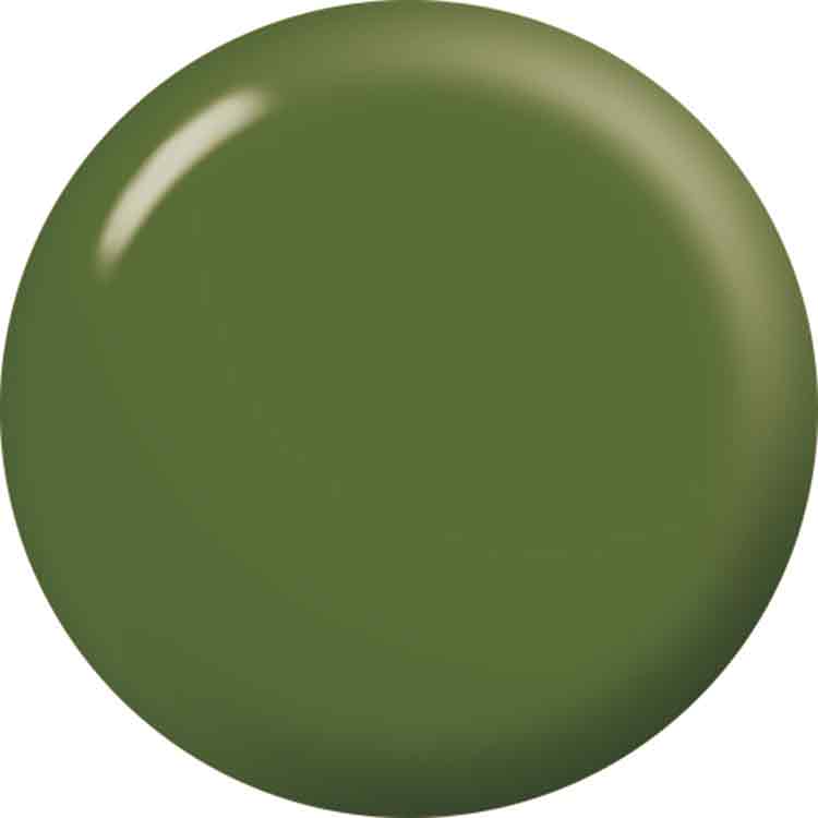 LUCU GEL カラー 3.5g C021 クリアリーフグリーン