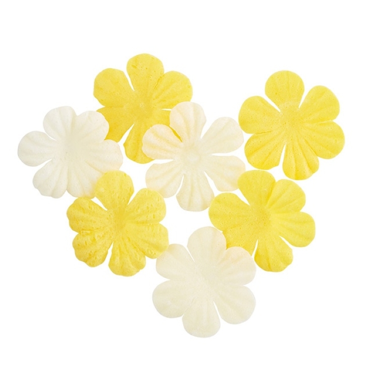 サクラCA バスコンフェッティ カスミザクラ